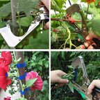 Pflanzen-Bindezange mit Bindedraht für Gartenpflege Zorenza