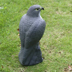 Falkenattrappe zur Vogelabwehr – realistische Raubvogelfigur Zorenza