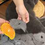 Katzenbürste mit Sprühfunktion – Gegen statische Aufladung -    Zorenza