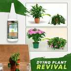 Pflanzendünger flüssig 30 ml für Blüten und Wachstum -    Zorenza