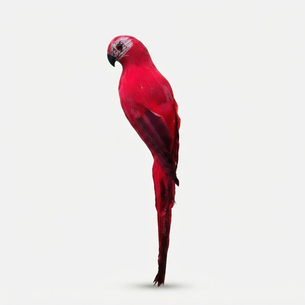 Studio collection image