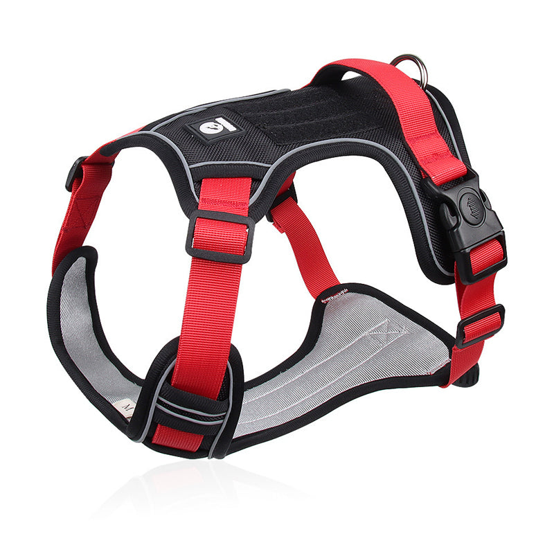 Hundegeschirr mit LED-Halsband – Anti-Zieh Design -    Zorenza
