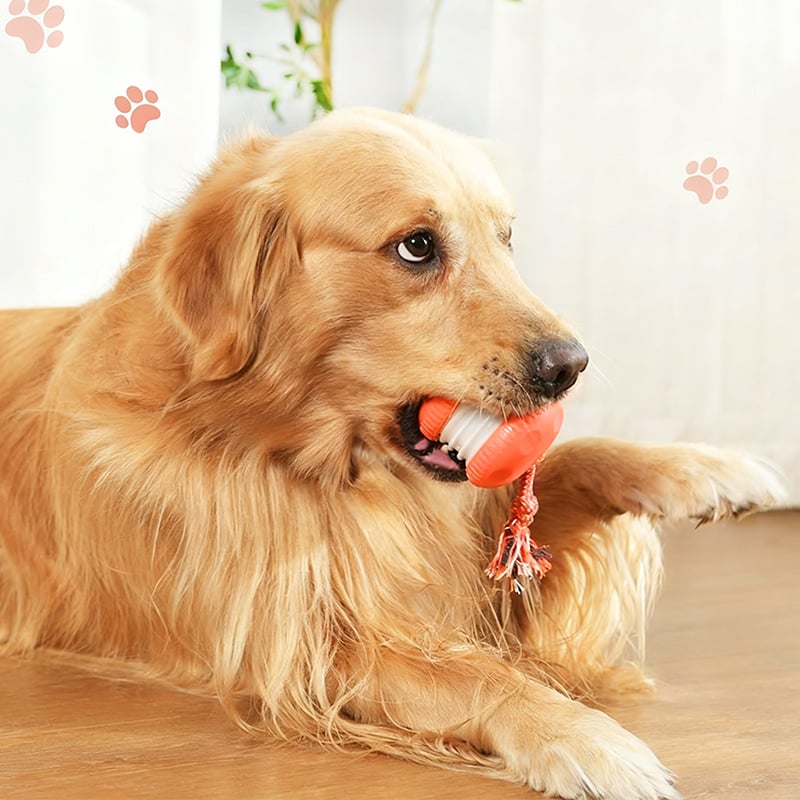 Hundespielzeug mit Bewegungssensor und zwei Geschwindigkeitsmodi -    Zorenza