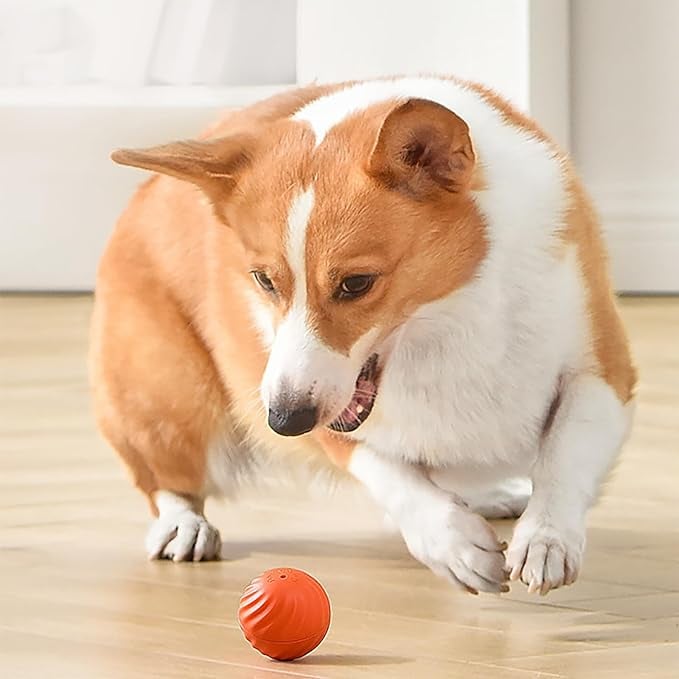 Interaktiver Hundeball mit Sensoren -    Zorenza