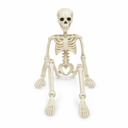 Halloween-Skelett 40 cm beweglich – Deko für Garten und Innenbereich -    Zorenza