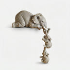 Studio collection image