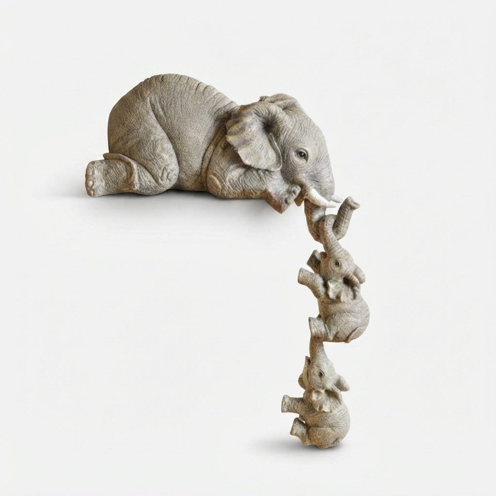 Studio collection image