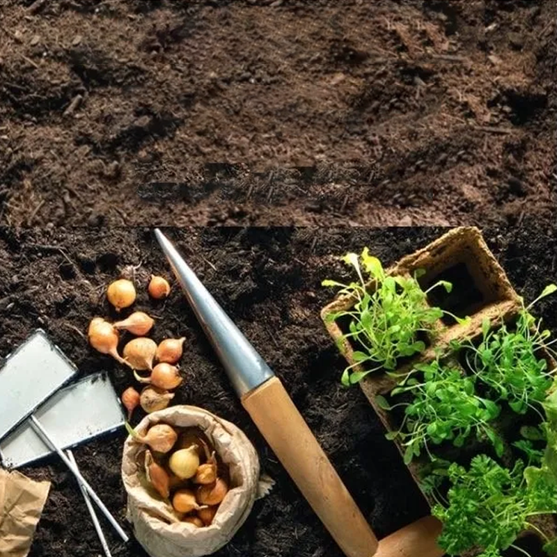Garten-Pflanzenstecker Eisen mit Spruch -    Zorenza
