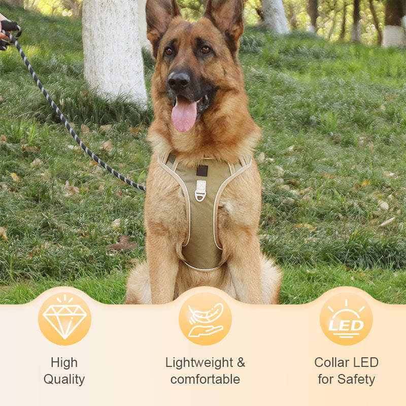 Hundegeschirr mit LED-Halsband – Anti-Zieh Design -    Zorenza