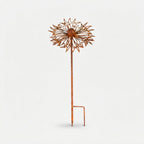 Studio collection image