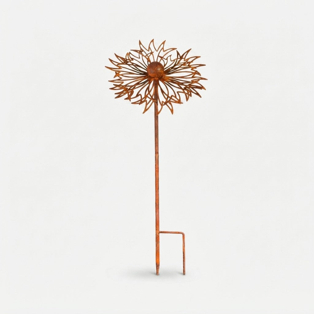 Studio collection image