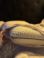 Memory-Foam-Kissen mit Kühlgel – Ergonomische Stütze für Nacken -    Zorenza
