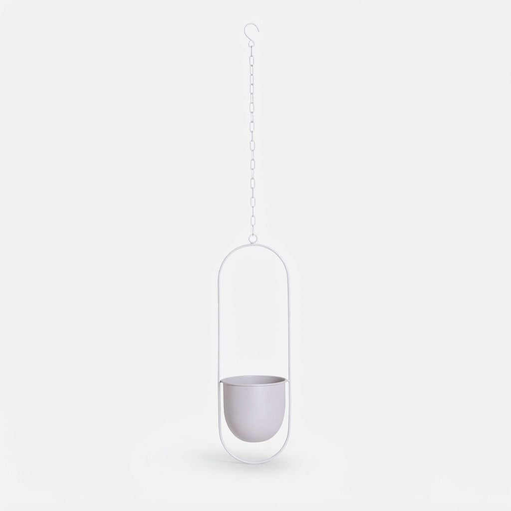 Studio collection image