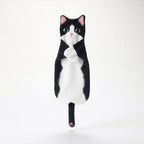 Studio collection image