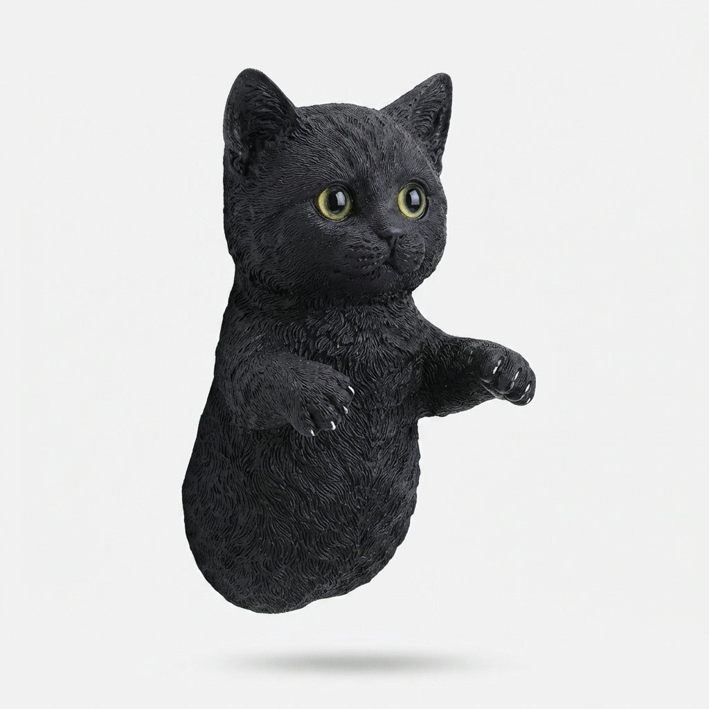 Studio collection image