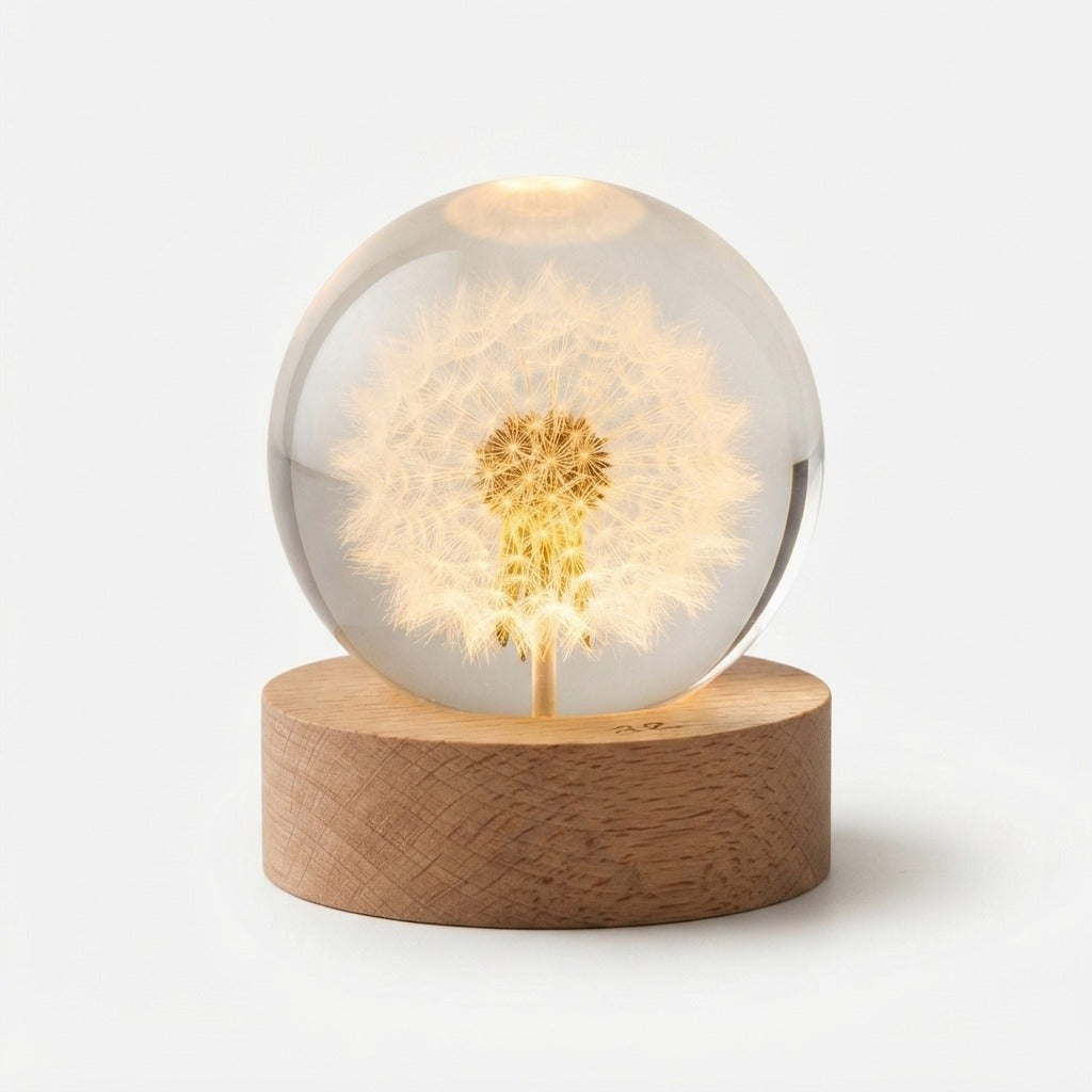 Studio collection image