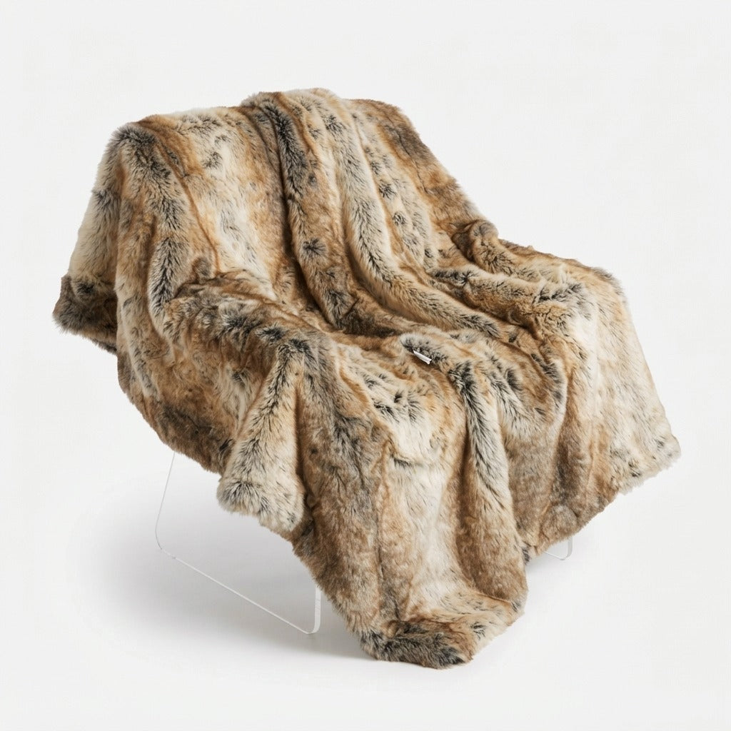 Studio collection image
