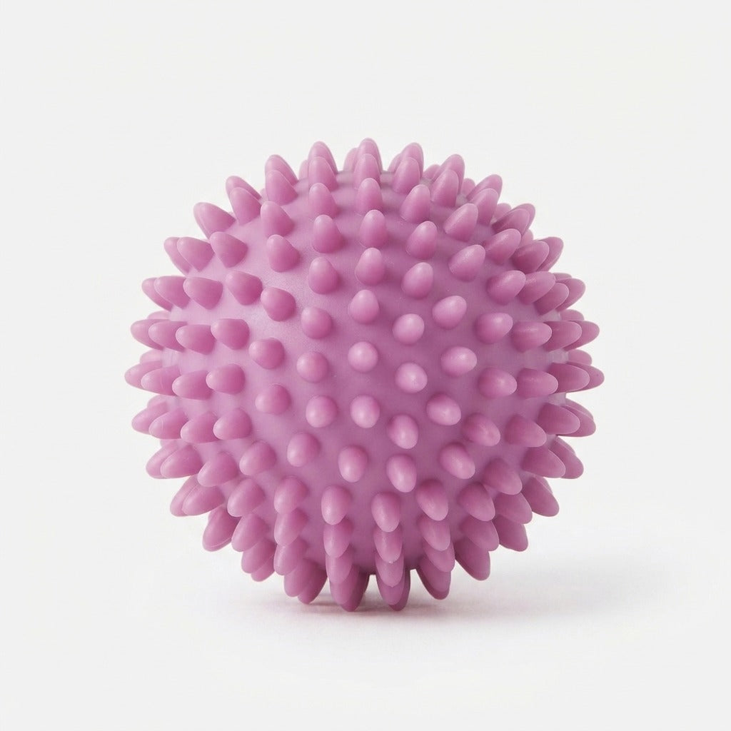 Studio collection image