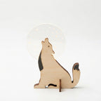 Studio collection image