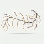 Studio collection image