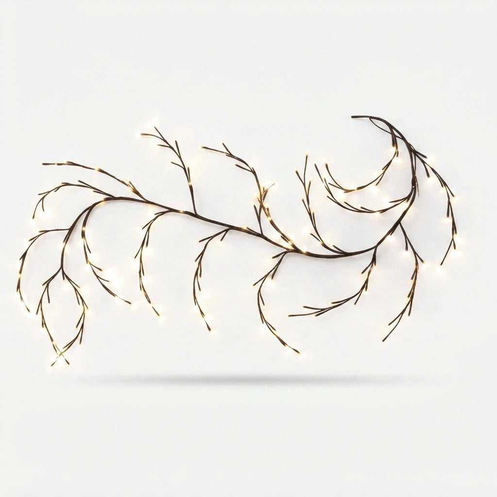 Studio collection image