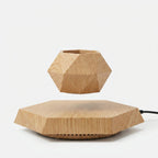 Studio collection image