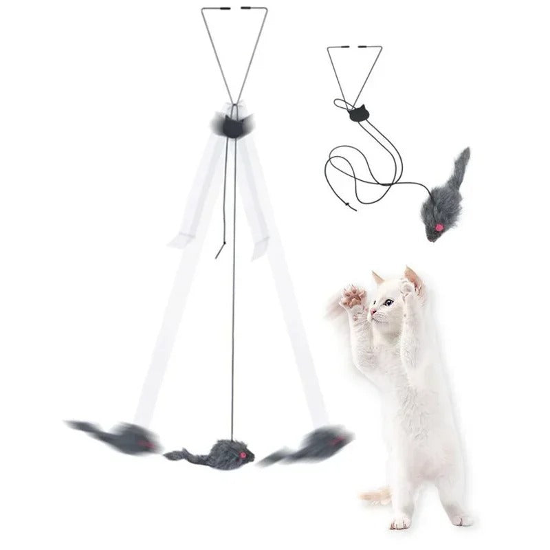 Interaktives Katzenspielzeug für die Tür mit elastischem Seil Zorenza