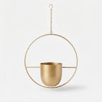 Studio collection image