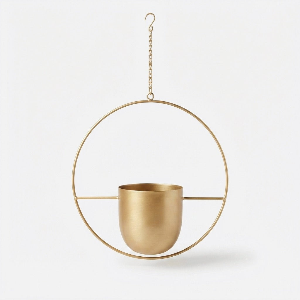 Studio collection image