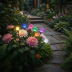 Solar Steckleuchten mit Sternenburst-Effekt für den Garten -    Zorenza