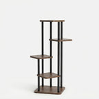 Studio collection image