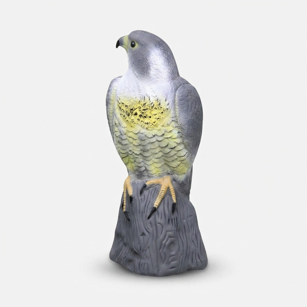 Studio collection image