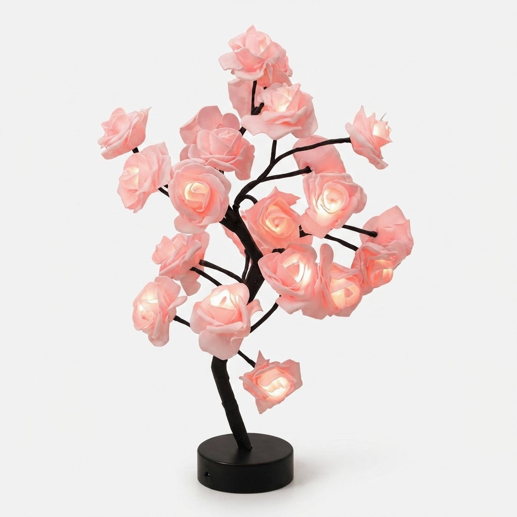 Studio collection image