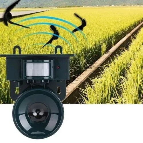Vogelabwehr Solar mit Bewegungsmelder – Ultraschall und Akustik -    Zorenza