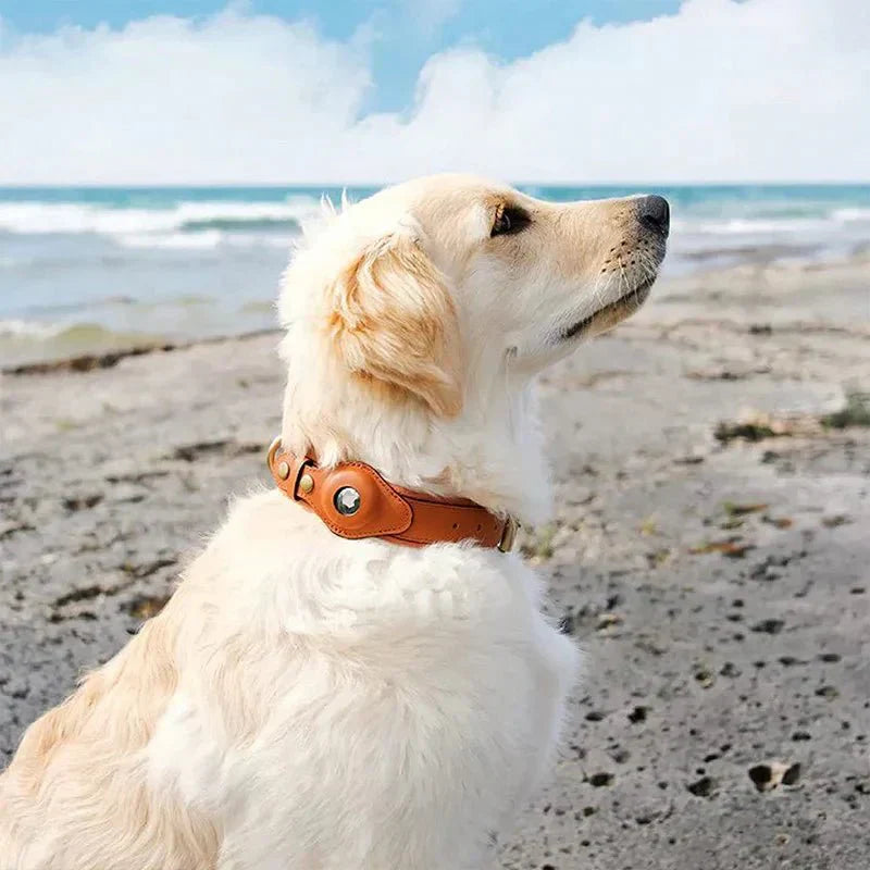 Hundehalsband mit AirTag-Halterung für GPS-Ortung -    Zorenza