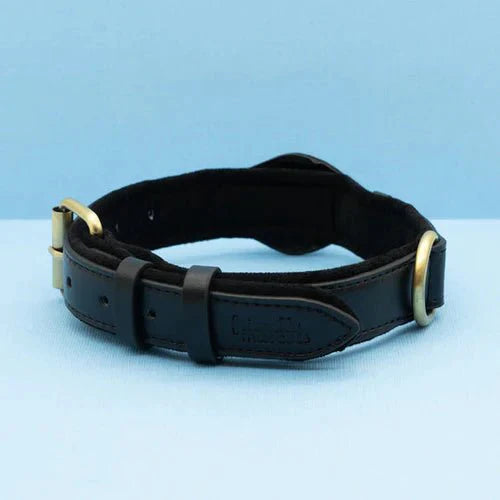 Hundehalsband mit AirTag-Halterung für GPS-Ortung -    Zorenza