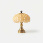 Studio collection image
