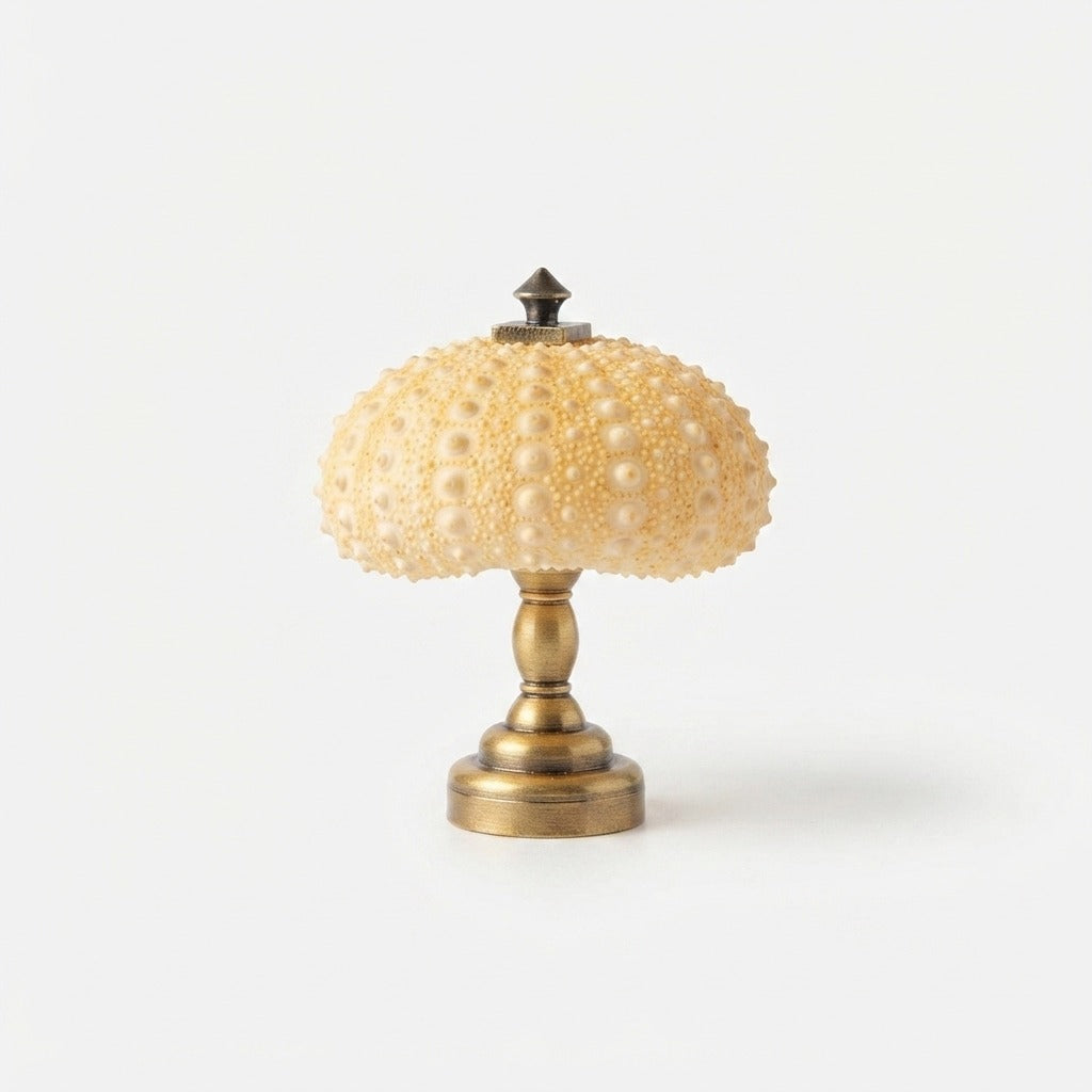Studio collection image