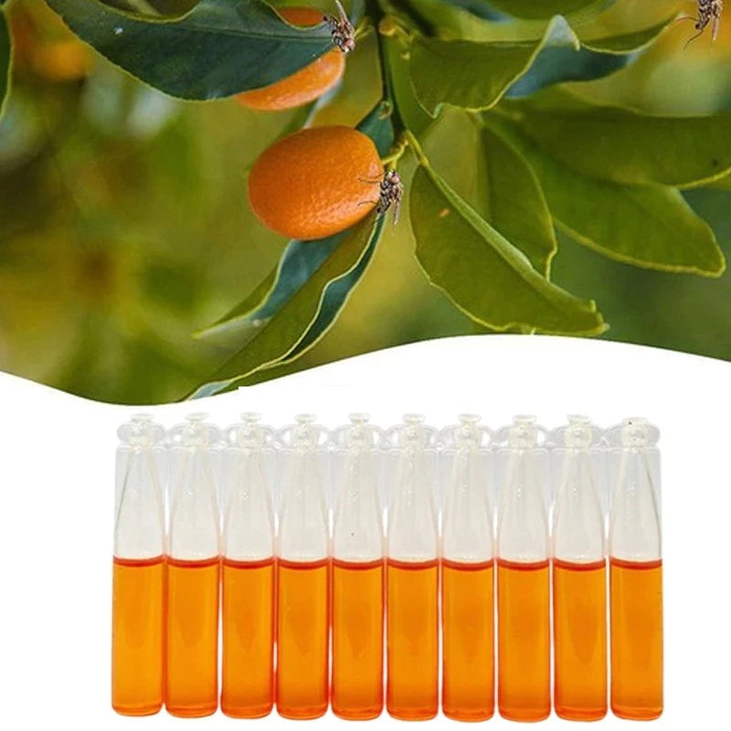 Hängende Fliegenfalle mit Lockstoff gegen Obstfliegen & Wespen (10er-Set) -    Zorenza
