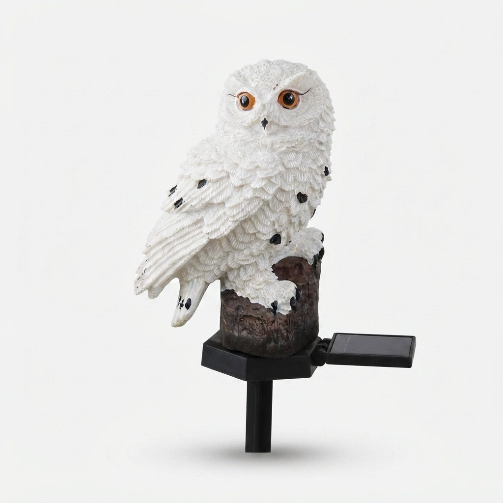 Studio collection image