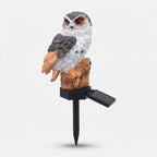 Studio collection image