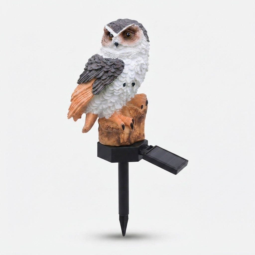 Studio collection image