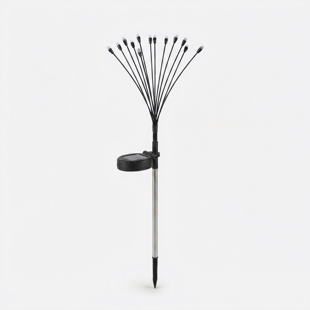 Studio collection image