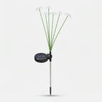 Studio collection image