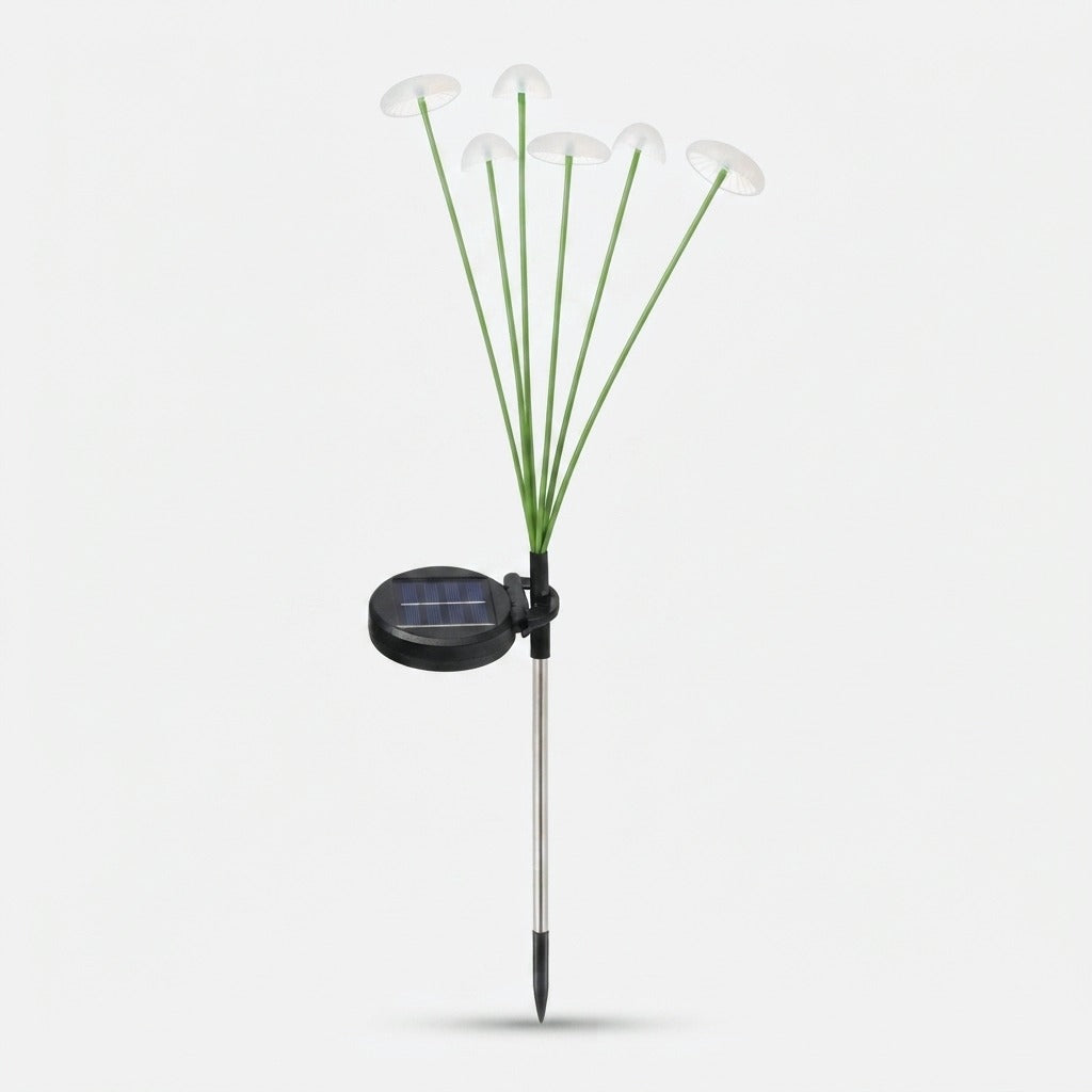 Studio collection image