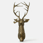 Studio collection image