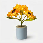 Studio collection image