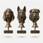 Studio collection image